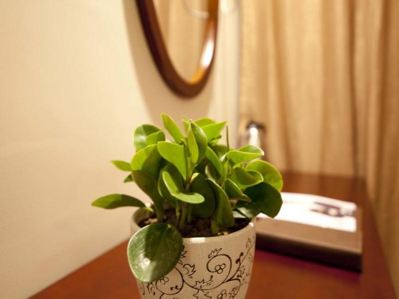 Greentree Inn Zhejiang Taizhou Xianju Passenger Center West Huancheng Road Express Hotel Εξωτερικό φωτογραφία