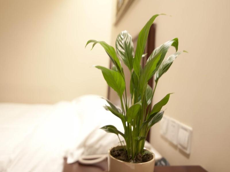 Greentree Inn Zhejiang Taizhou Xianju Passenger Center West Huancheng Road Express Hotel Εξωτερικό φωτογραφία